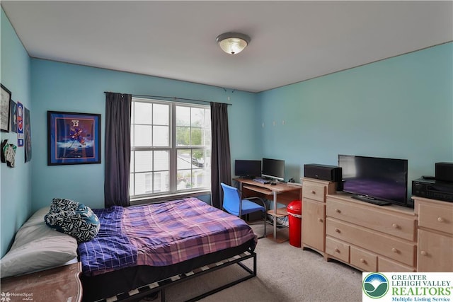 10 Windrift Ct, Easton, PA 18045 - bedroom featuring light carpet and a desk