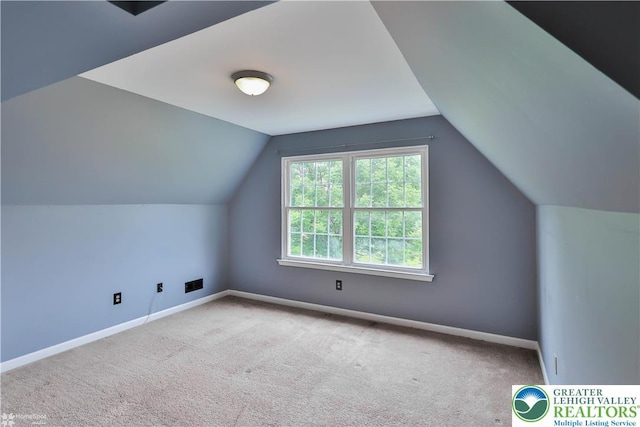 10 Windrift Ct, Easton, PA 18045 - bonus room with carpet floors and vaulted ceiling
