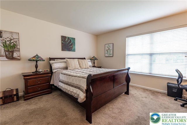 2657 Anthony Ct, Palmer Twp, PA 18045 - carpeted bedroom featuring baseboards and a desk