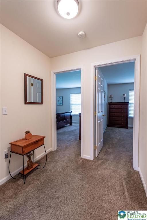 2657 Anthony Ct, Palmer Twp, PA 18045 - hall with carpet and baseboards