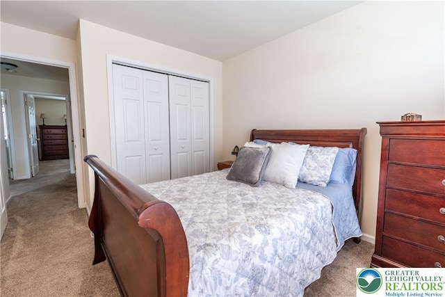 2657 Anthony Ct, Palmer Twp, PA 18045 - bedroom with carpet flooring and a closet