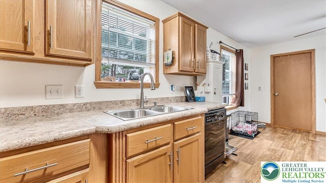 3954 Cedar Dr, Lehigh Twp, PA 18088 - kitchen featuring dishwasher, light wood-style flooring, and light countertops