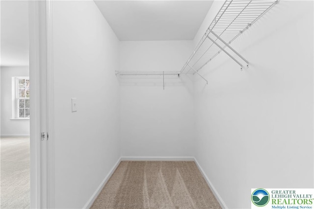 718 Rte 314 Unit 2, Pocono Twp, PA 18370 - walk in closet with carpet floors