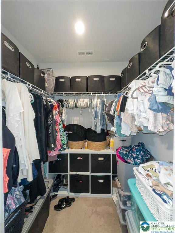 403 Lock Dr, Allen Twp, PA 18067 - spacious closet featuring carpet