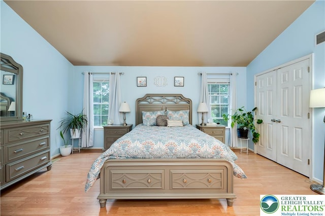 1778 Pinewind Dr, Alburtis Boro, PA 18011 - bedroom featuring multiple windows, vaulted ceiling, light wood finished floors, and a closet