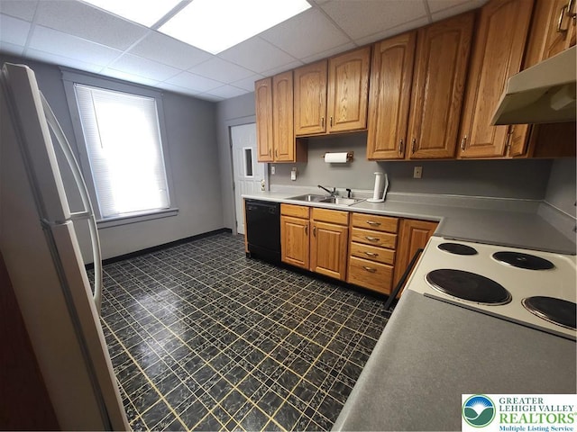 419 E Walnut St, Allentown City, PA 18109 - kitchen featuring black dishwasher, freestanding refrigerator, under cabinet range hood, light countertops, and a paneled ceiling