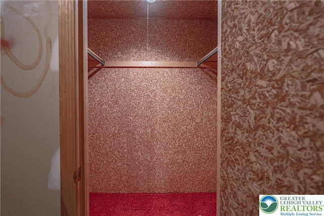 1265 Clearview Cir, Lower Macungie Twp, PA 18103 - view of closet