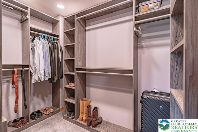 379 Meyer Rd, Bushkill Twp, PA 18064 - walk in closet featuring carpet floors