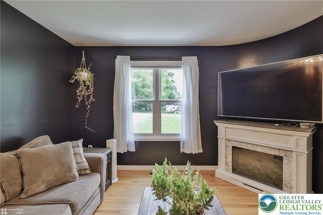 1925 Peach Tree Ln, Lower Saucon Twp, PA 18015 - living room featuring light wood-type flooring and a premium fireplace