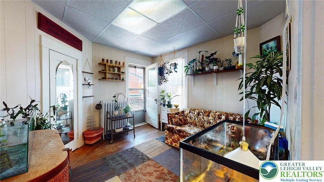 1446 Chew St, Allentown City, PA 18104 - living room featuring wood finished floors, radiator heating unit, and a drop ceiling