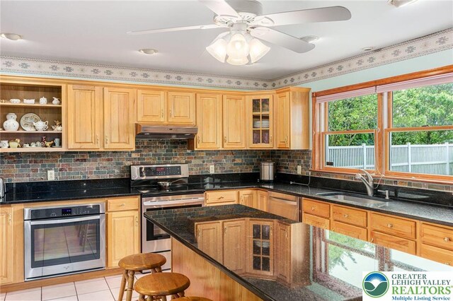 1151 Marfield Dr, Bushkill Twp, PA 18064 - kitchen featuring appliances with stainless steel finishes, under cabinet range hood, tasteful backsplash, glass insert cabinets, and dark stone counters