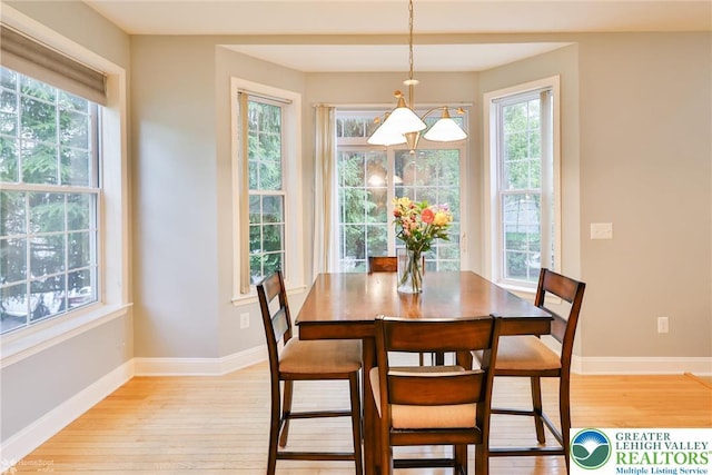 780 Ramblewood Dr, Forks Twp, PA 18040 - dining room with light wood-style flooring and plenty of natural light