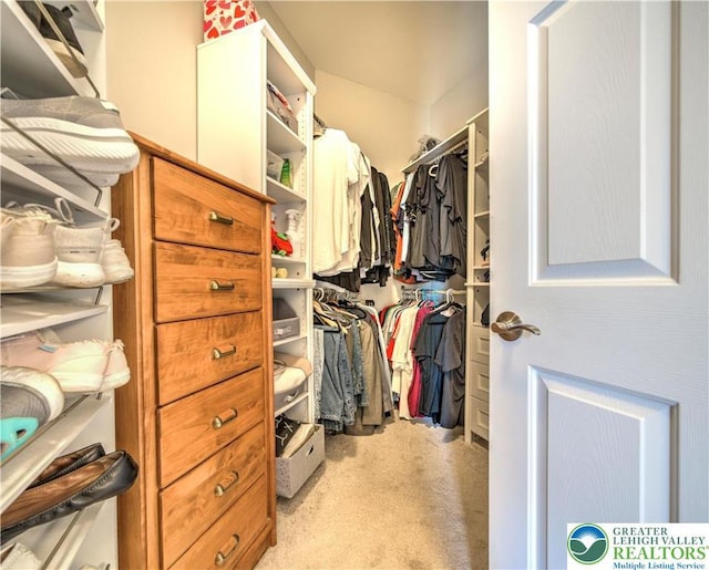 4693 Bluegrass Ln, Lower Macungie Twp, PA 18062 - walk in closet with light carpet