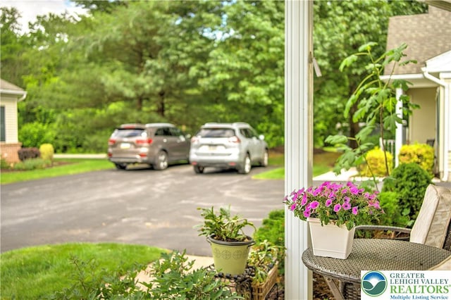 4693 Bluegrass Ln, Lower Macungie Twp, PA 18062 - view of parking