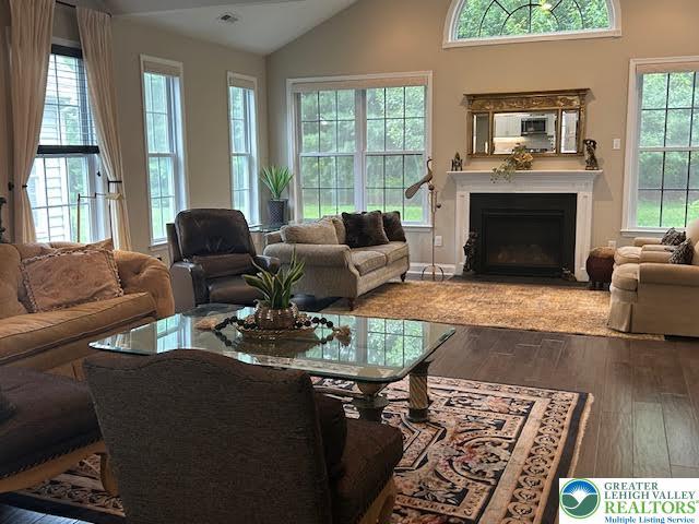 1051 Resolution Dr, Hanover Twp, PA 18017 - living room with wood-type flooring, vaulted ceiling, and a fireplace with flush hearth