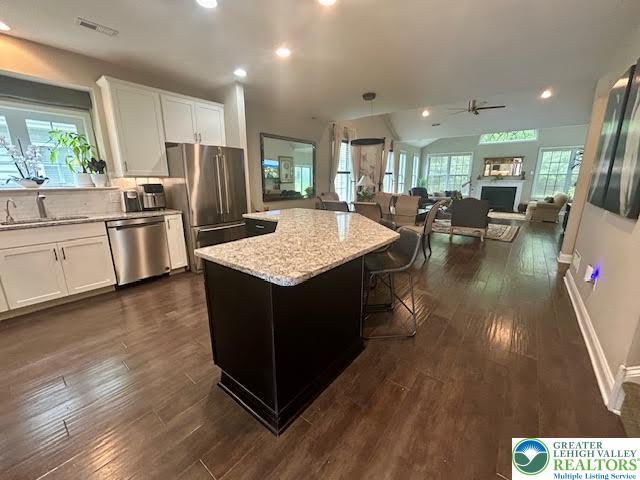 1051 Resolution Dr, Hanover Twp, PA 18017 - kitchen with stainless steel appliances, dark wood finished floors, light stone counters, open floor plan, and ceiling fan