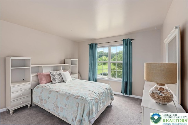 6841 Stone Croft Cir, Macungie Boro, PA 18062 - bedroom with carpet and baseboards