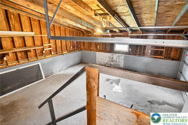 2228 Skyline, Washington Twp, PA 18080 - basement with concrete block wall
