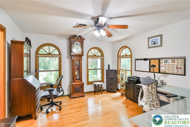 3745 Orefield Rd, South Whitehall Twp, PA 18104 - office featuring a ceiling fan and light wood-type flooring