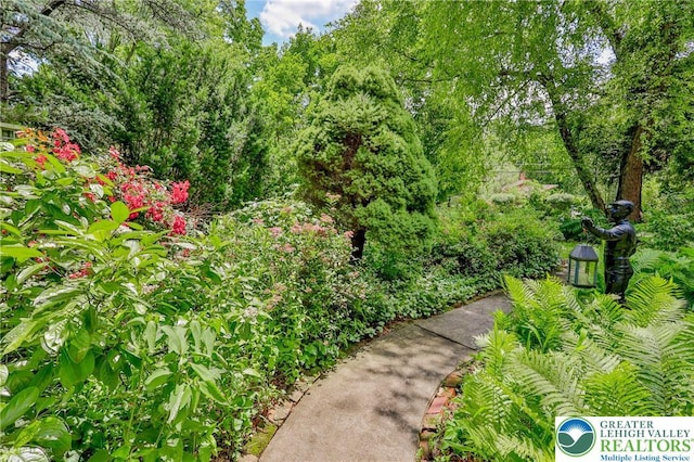 3745 Orefield Rd, South Whitehall Twp, PA 18104 - view of community