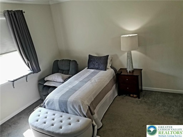 3583 Daylily Dr, Upper Milford Twp, PA 18049 - bedroom with carpet floors and baseboards