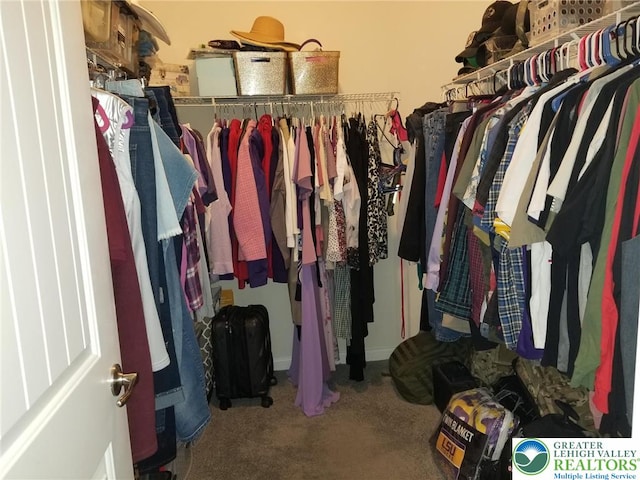 3583 Daylily Dr, Upper Milford Twp, PA 18049 - spacious closet with carpet