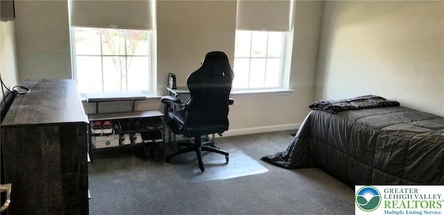 3583 Daylily Dr, Upper Milford Twp, PA 18049 - carpeted bedroom featuring baseboards