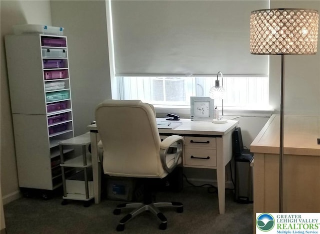 3583 Daylily Dr, Upper Milford Twp, PA 18049 - view of carpeted home office