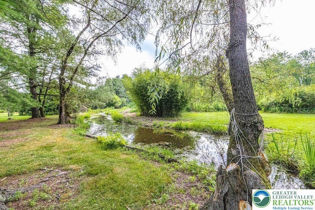 909 Interchange Rd, Polk Twp, PA 18333 - water view featuring a heavily wooded area