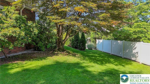 11 11 Ave, D, PA 17972 - view of yard