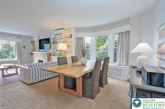 11 11 Ave, D, PA 17972 - carpeted dining area with a wall mounted air conditioner, radiator, and a fireplace