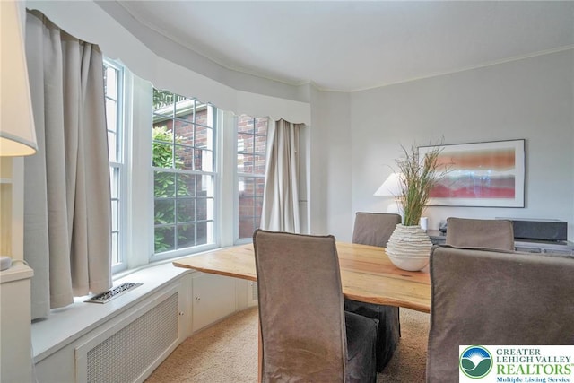 11 11 Ave, D, PA 17972 - dining room featuring light colored carpet and radiator heating unit