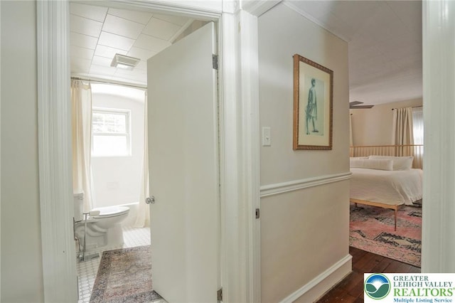 11 11 Ave, D, PA 17972 - view of hallway
