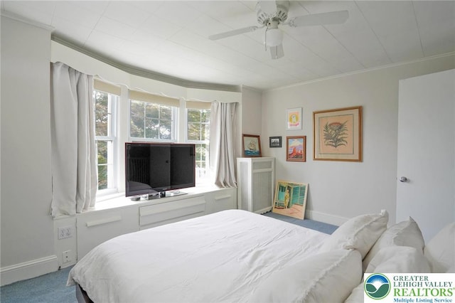 11 11 Ave, D, PA 17972 - carpeted bedroom featuring crown molding and ceiling fan