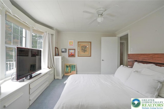 11 11 Ave, D, PA 17972 - carpeted bedroom featuring crown molding and ceiling fan