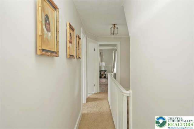 11 11 Ave, D, PA 17972 - hallway with light carpet and an upstairs landing