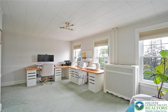 11 11 Ave, D, PA 17972 - home office with radiator and light colored carpet