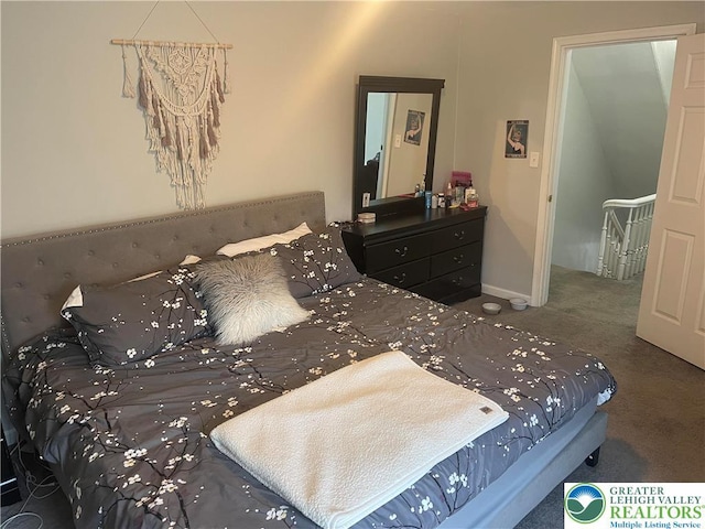 924 W Berwick St, Easton, PA 18042 - view of carpeted bedroom