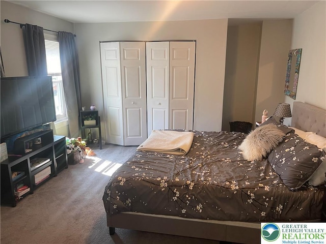 924 W Berwick St, Easton, PA 18042 - carpeted bedroom featuring a closet