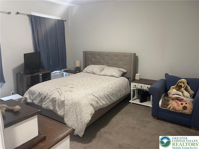 924 W Berwick St, Easton, PA 18042 - view of carpeted bedroom