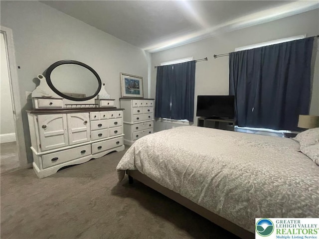 924 W Berwick St, Easton, PA 18042 - view of carpeted bedroom