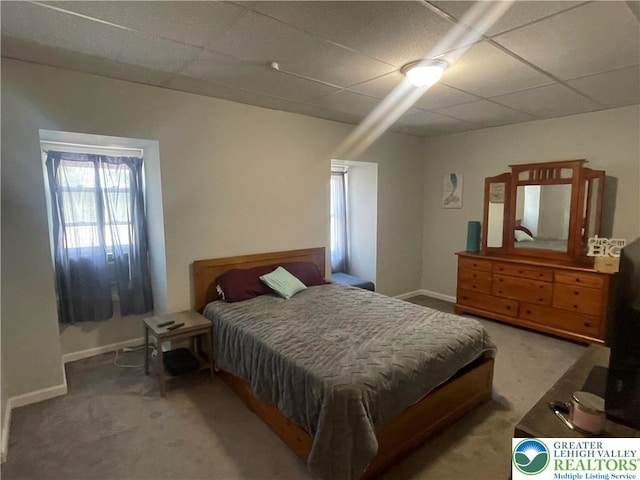 924 W Berwick St, Easton, PA 18042 - bedroom with carpet and a paneled ceiling