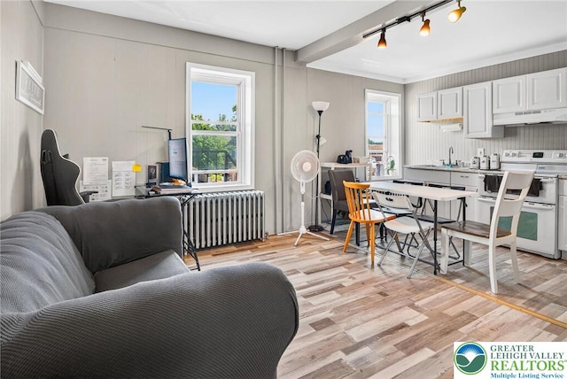 624 N Maxwell St, Allentown City, PA 18109 - living area featuring radiator, plenty of natural light, light wood-style floors, and rail lighting
