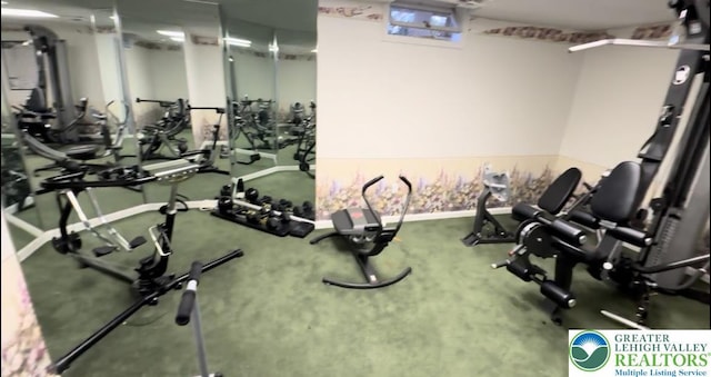106 Lynx Ln, Chestnuthill Twp, PA 18330 - view of workout area