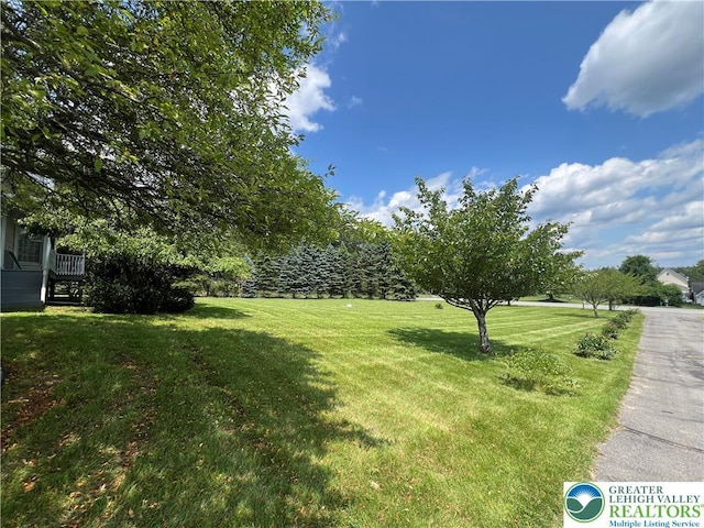 106 Lynx Ln, Chestnuthill Twp, PA 18330 - view of grassy yard