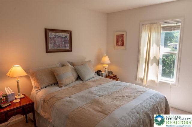 104 Garden Ct, Emmaus Boro, PA 18049 - view of carpeted bedroom