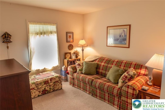 104 Garden Ct, Emmaus Boro, PA 18049 - living area featuring carpet floors