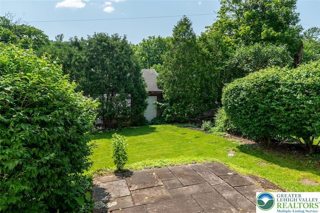 104 Garden Ct, Emmaus Boro, PA 18049 - view of green lawn
