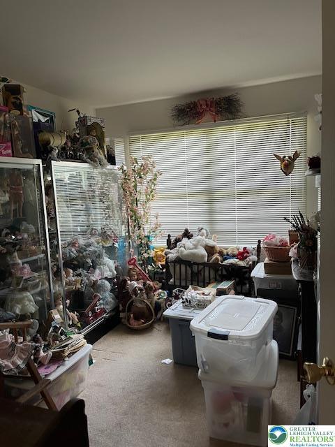 255 Ridings Cir, Macungie Boro, PA 18062 - interior space