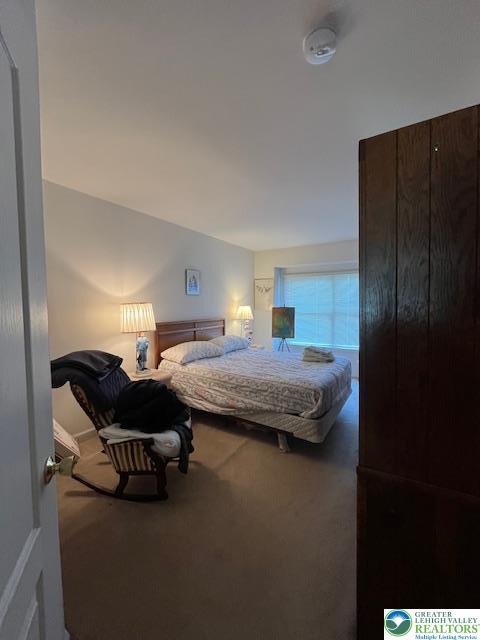 255 Ridings Cir, Macungie Boro, PA 18062 - view of carpeted bedroom